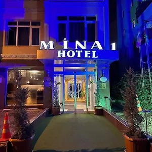 Отель Minabir